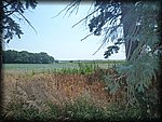 P1010344.JPG