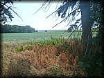 P1010345.JPG