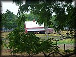 P1010382.JPG