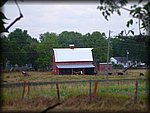P1010383.JPG