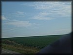 P1010578.JPG