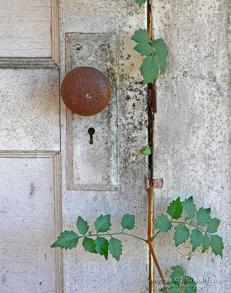 white_door_jpg.jpg