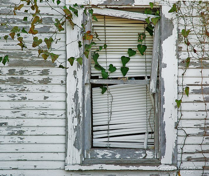 window2.jpg