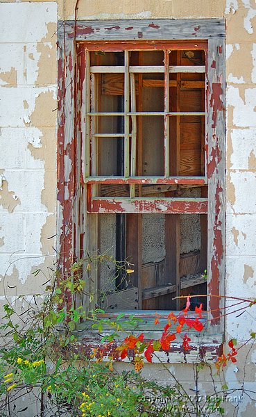 window3.jpg