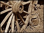 Stilllife_Sepia.jpg