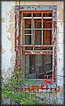 window3.jpg